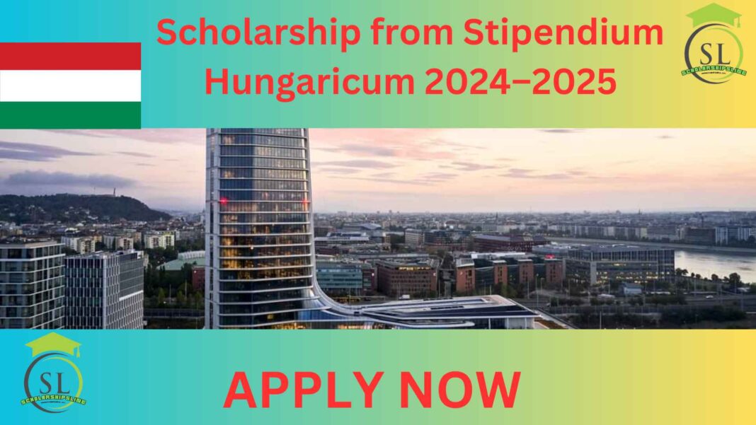 Scholarship from Stipendium Hungaricum 2024–2025