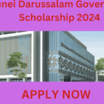 Brunei Darussalam Government Scholarship 2024 Brunei Darussalam Government Scholarship 2024. For students wishing to study overseas, the Government of Brunei Darussalam Scholarship for