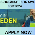 TOP 10 SCHOLARSHIPS IN SWEDEN FOR 2024 TOP 10 SCHOLARSHIPS IN SWEDEN FOR 2024
