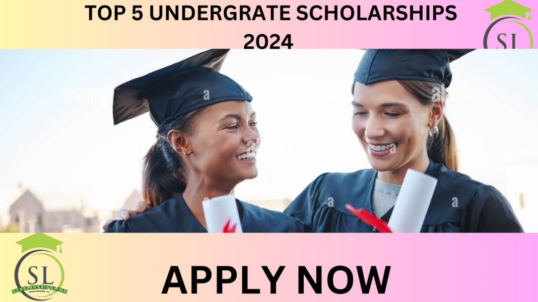 Top 5 undergraduate scholarships 2024
