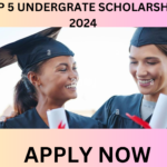 TOP 5 UNDERGRADUATE SCHOLARSHIPS 2024 Top 5 undergraduate scholarships 2024