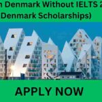 Study in Denmark Without IELTS 2025 (Denmark Scholarships) Study in Denmark Without IELTS 2025 (Denmark Scholarships)